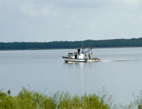 Assessing the Impact of Ordinances, Outreach and Enforcement on the Resiliency of Gulf Coastal Watersheds