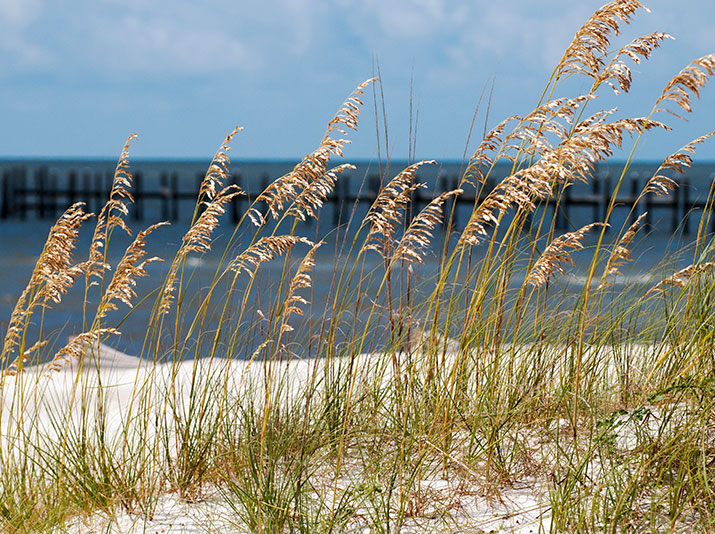 Trial beach site aces Isaac